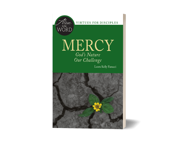 3691 3D Cover Mercy