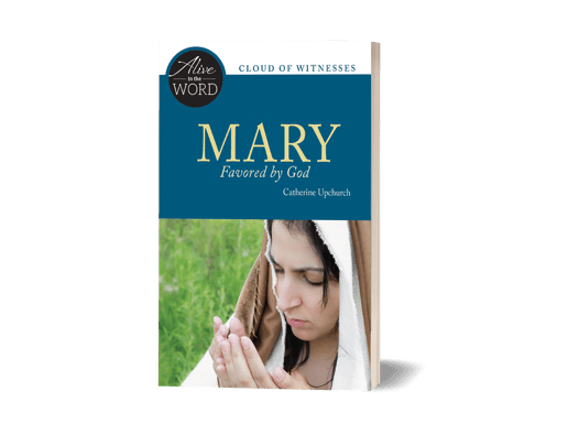 3697 3D Cover Mary