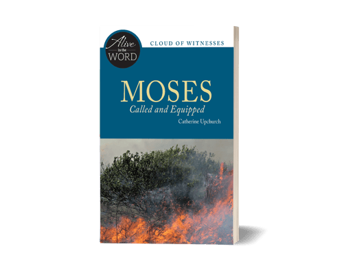 3699 3D Cover Moses