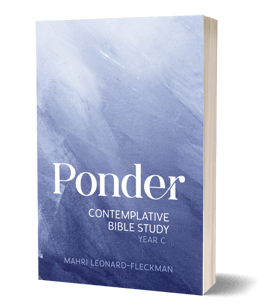 6558 3D Cover Ponder Year C-1