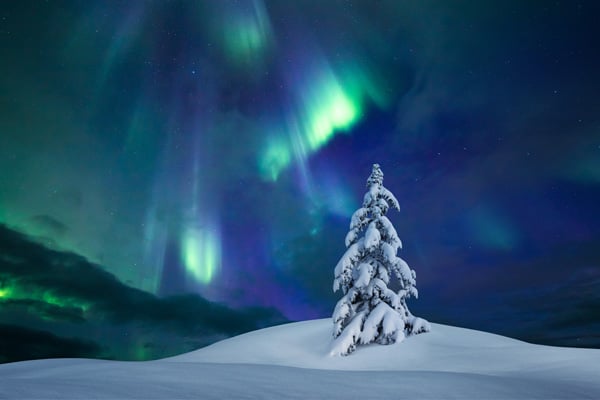 Connections Banner December