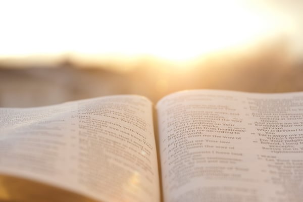 Sunday of the Word of God Banner