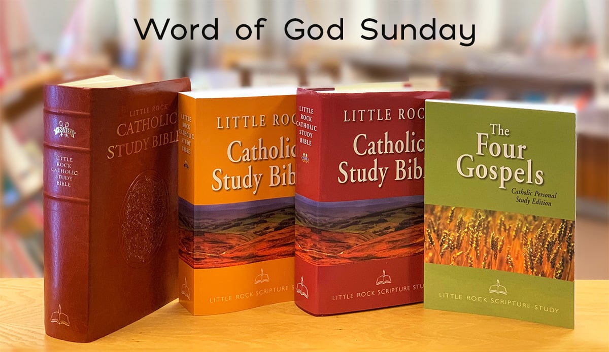 Little Rock Scripure Study Bibles