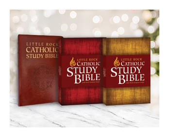 Our Bible Makes a Great Gift