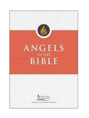 angel-white