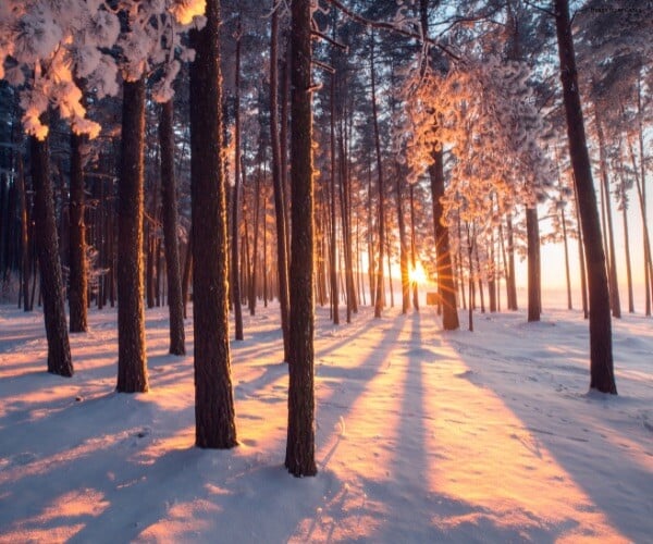 LR January - Hope (JPEG)
