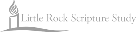 LRSS_logo_gray-removebg-preview